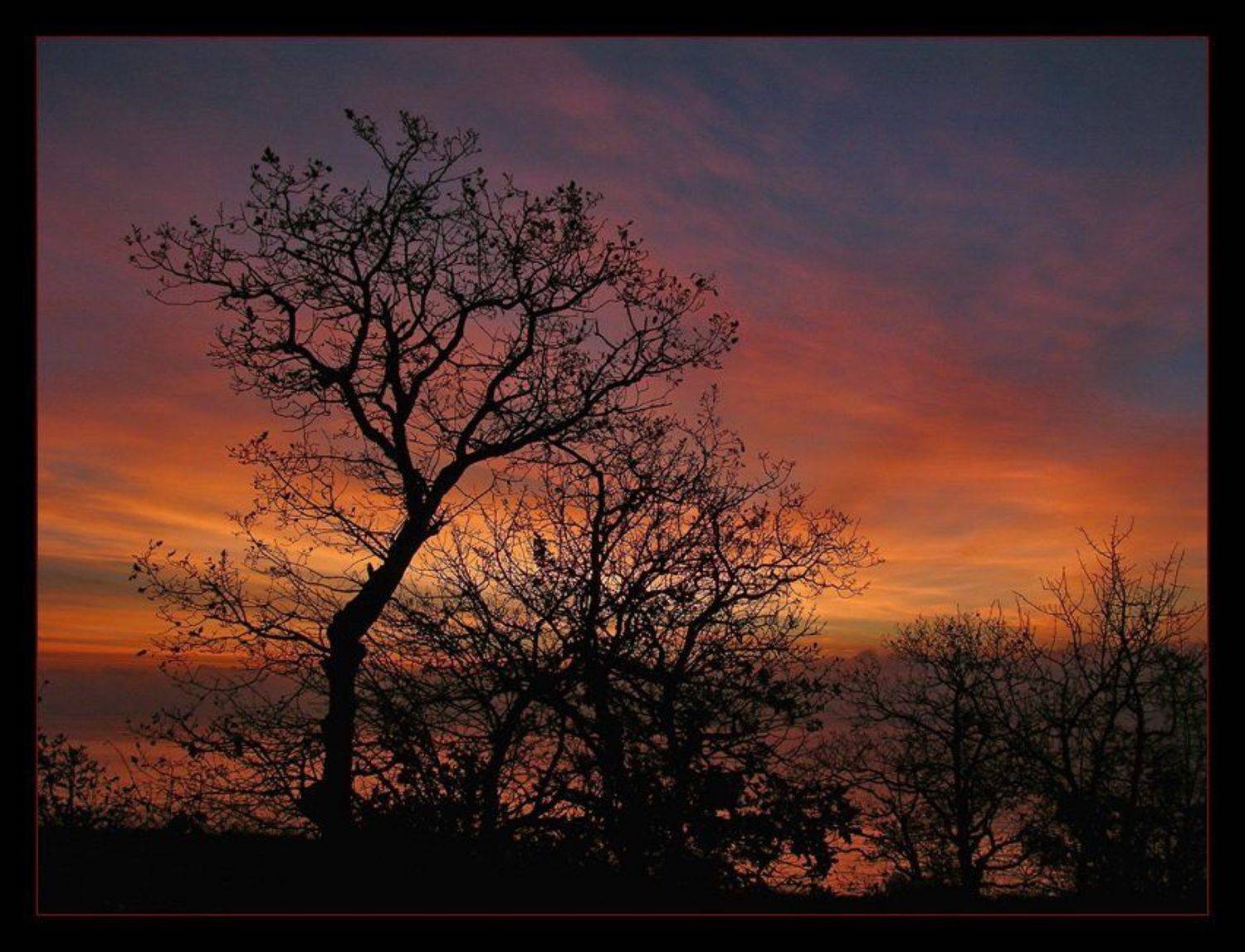 утро, зарево, Владимир Метцгер