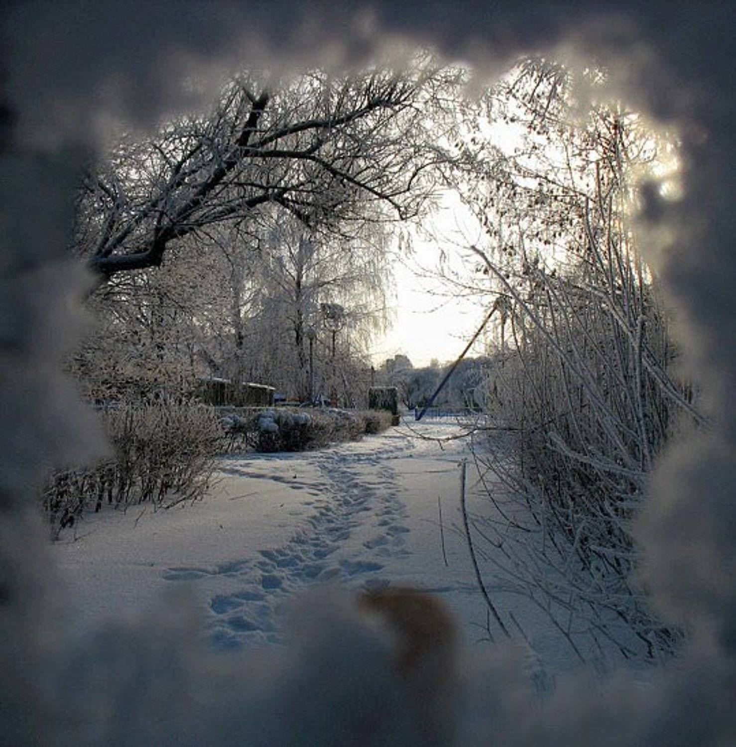 январь, окно, зима, холод, снег, VEB