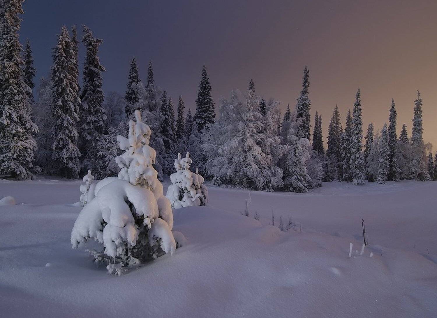 , Максим Евдокимов