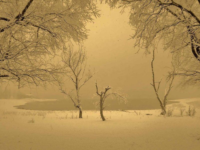 туман фото превью