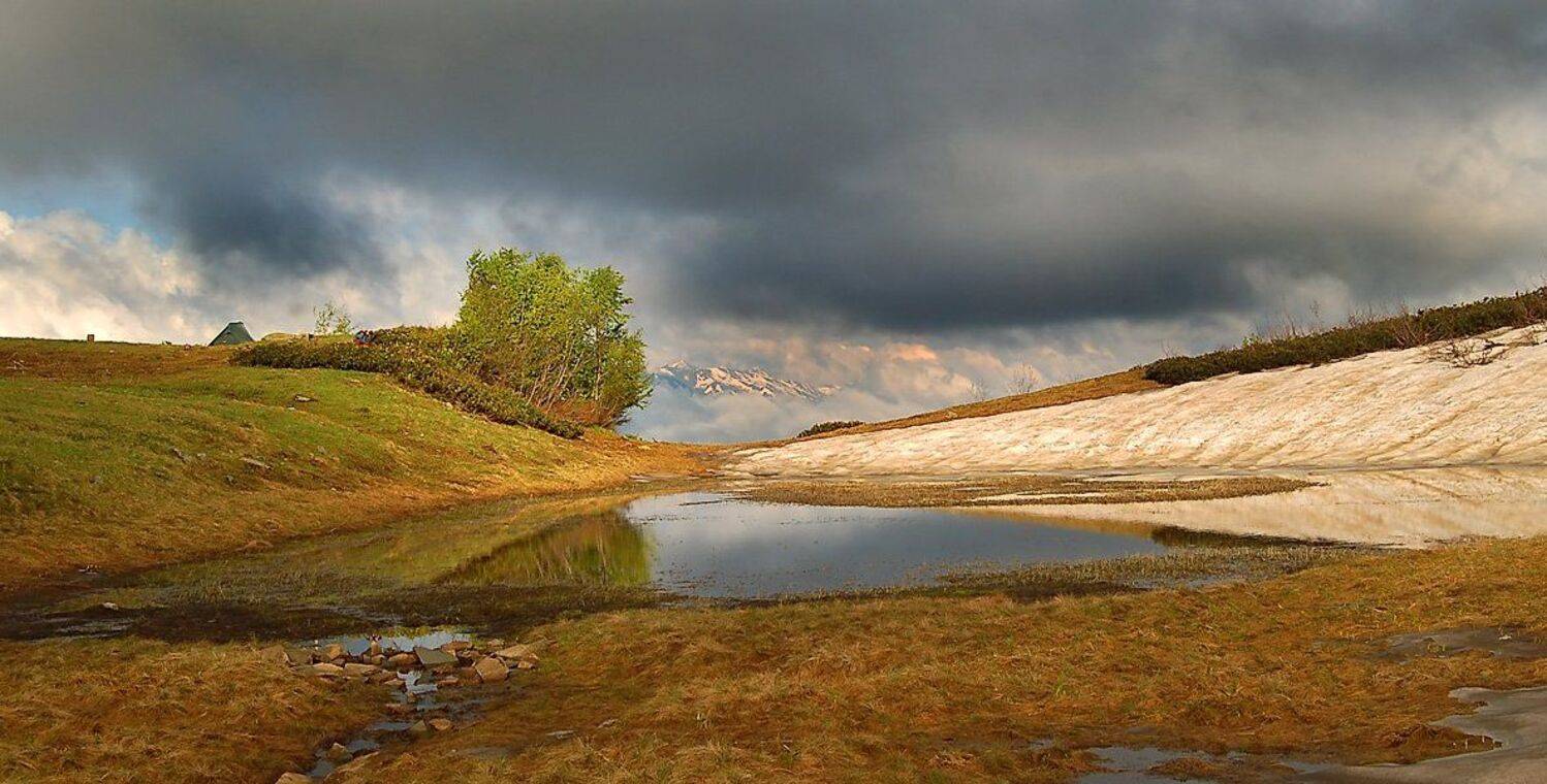 , Михаил Ступин