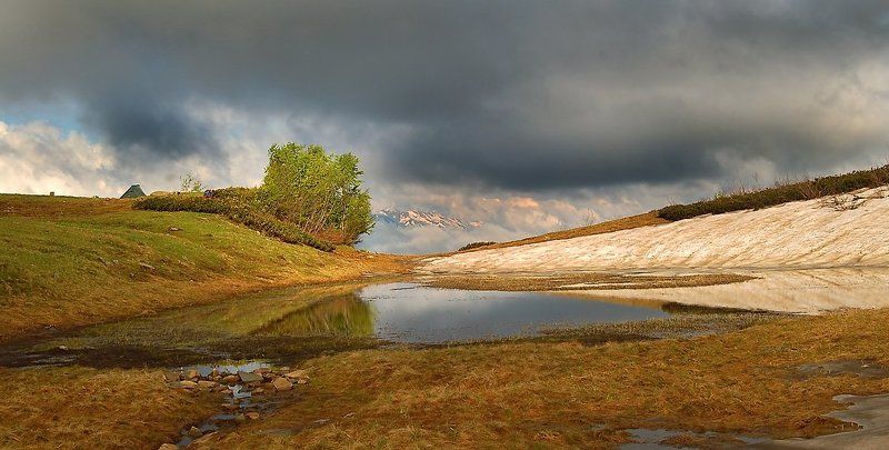 Лето фото превью