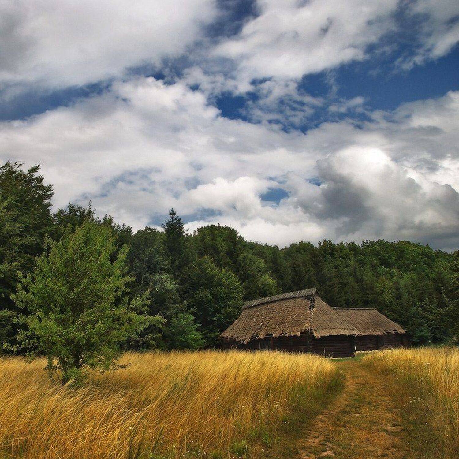 , Михаил Мочалов