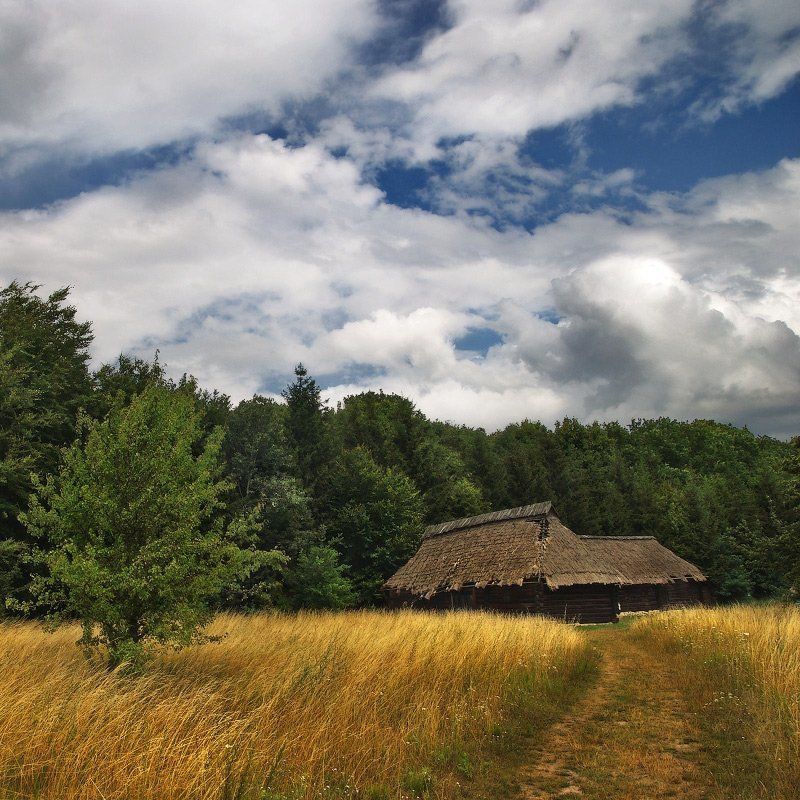 лето в квадрате  ;0) фото превью