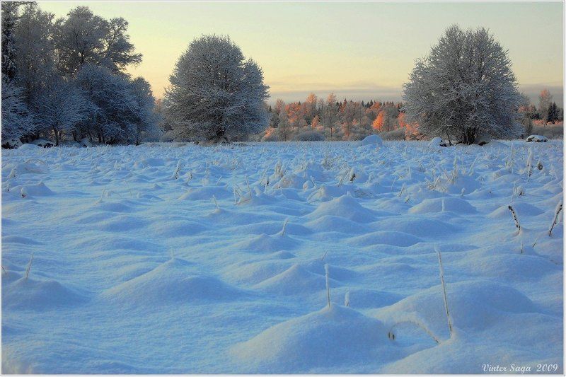 Пушистые холмики фото превью
