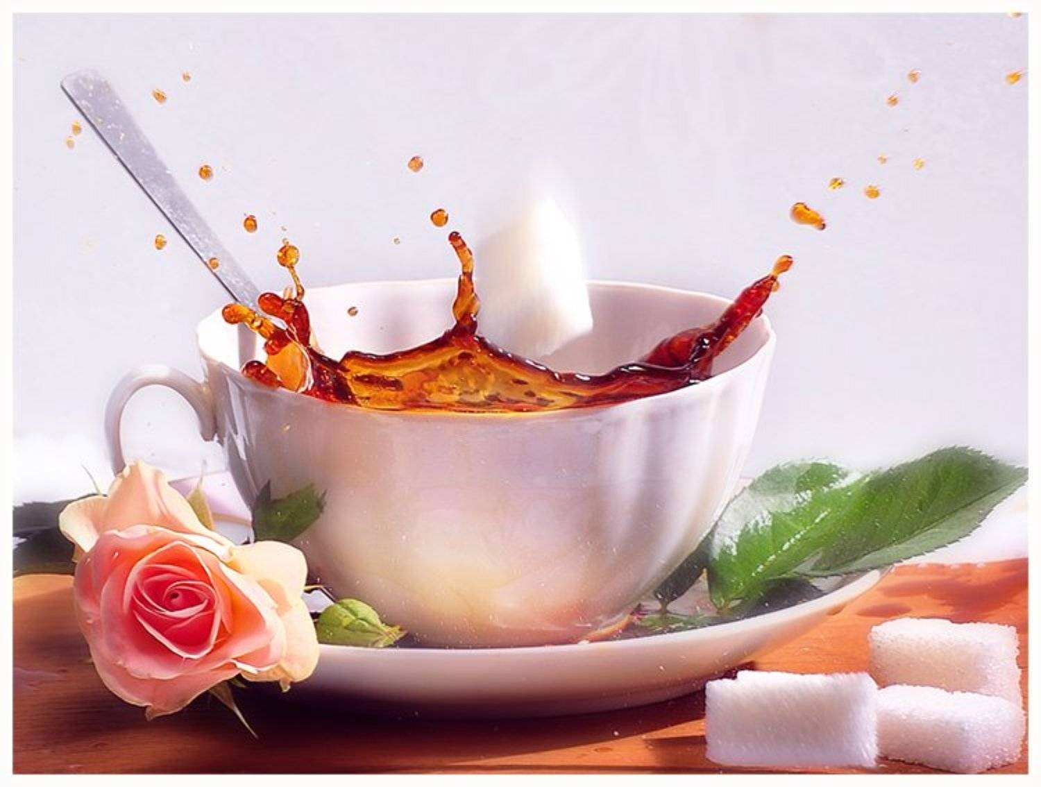 , Костин Евгений