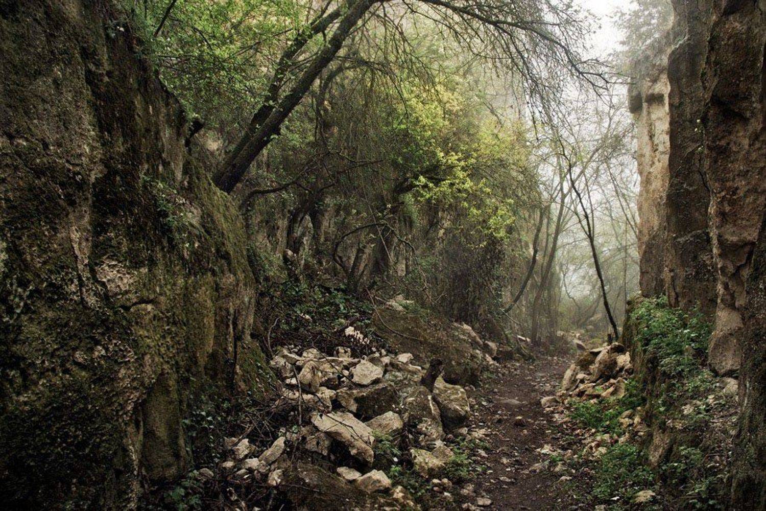 крым, чуфут кале, Dmitriy Egorov