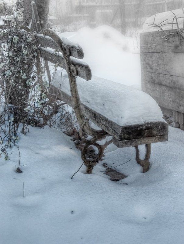 скамейка, снег  фото превью