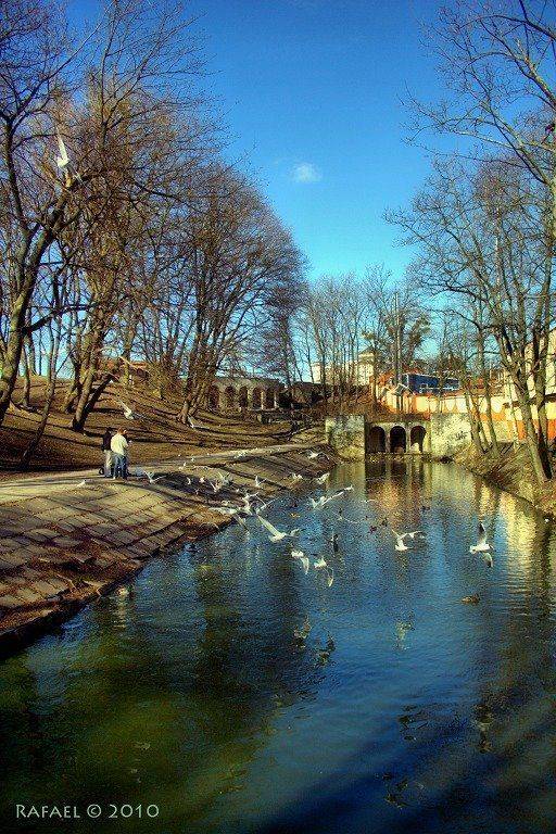 , Рафаэль Александрович Фоменко