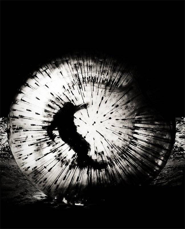 жанр, шар, спорт, чб, чёрно-белая, чёрная, белая, Владимир Крылов