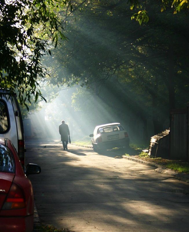 утро, туман, человек, дымка. москва, двор Московское утро фото превью