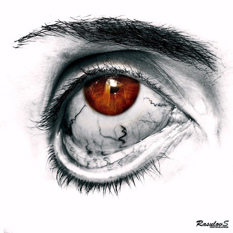 ОБНАЖЁННОЕ ОКО фото превью