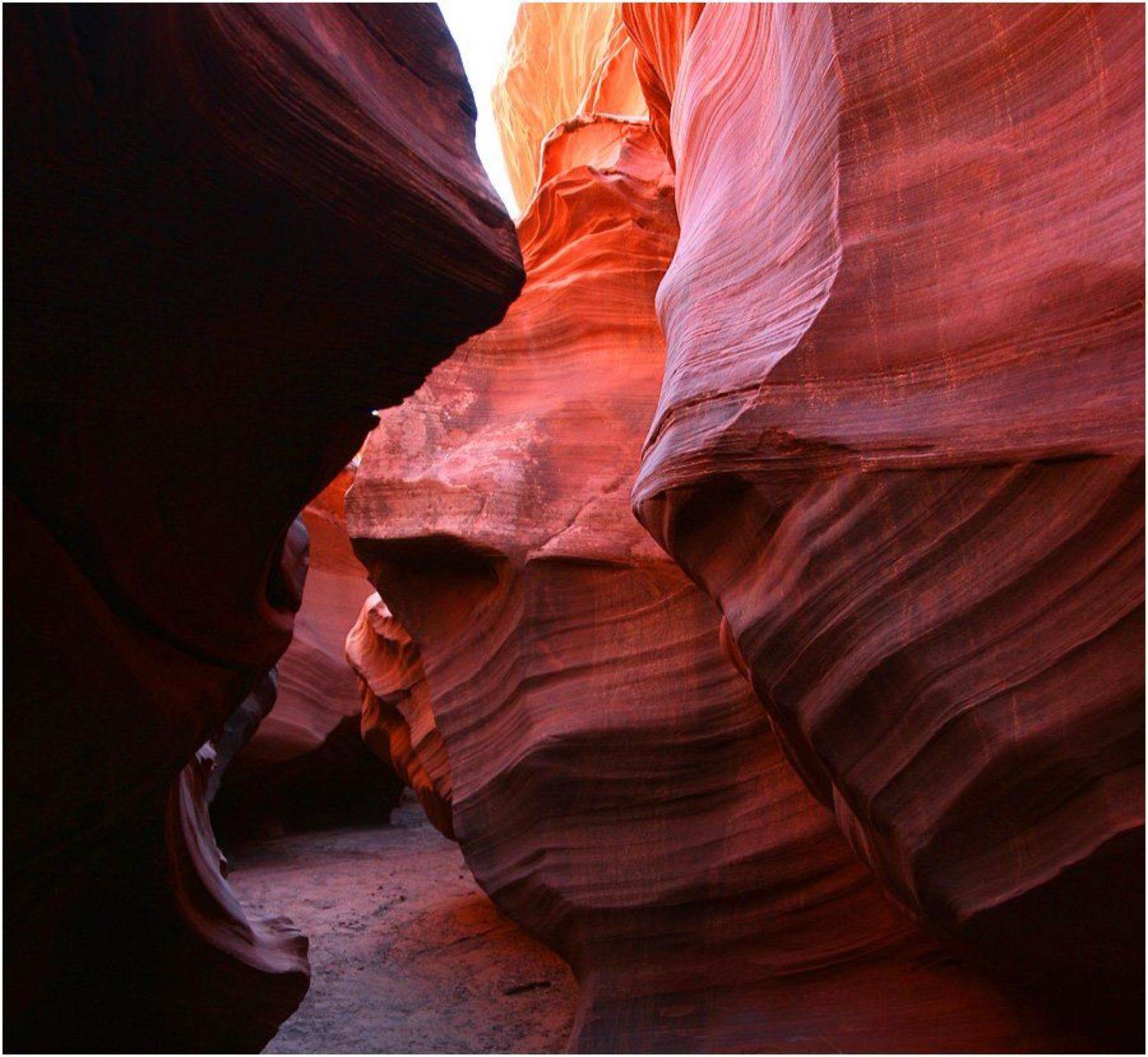 , Дмитрий Рогатин