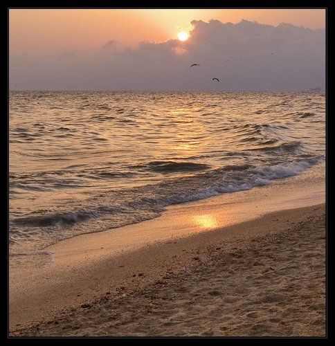 Розово-золотистое воспоминание...