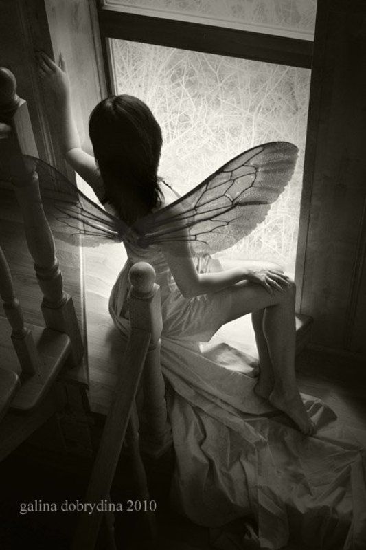 *** фото превью