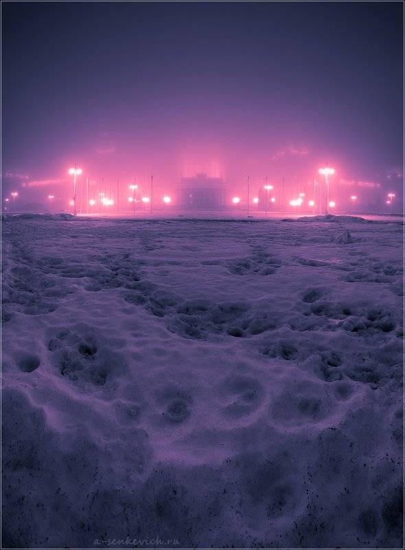 мгу, туман, Андрей Сенкевич