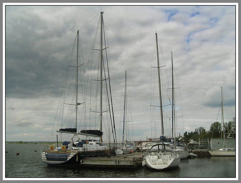 В Николаевском Яхт-клубе... фото превью