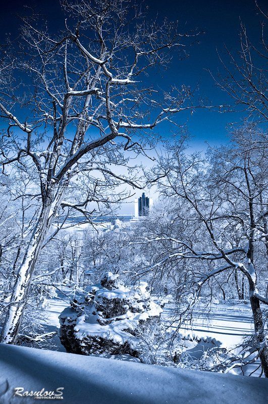 город,зима МОЙ ГОРОД фото превью