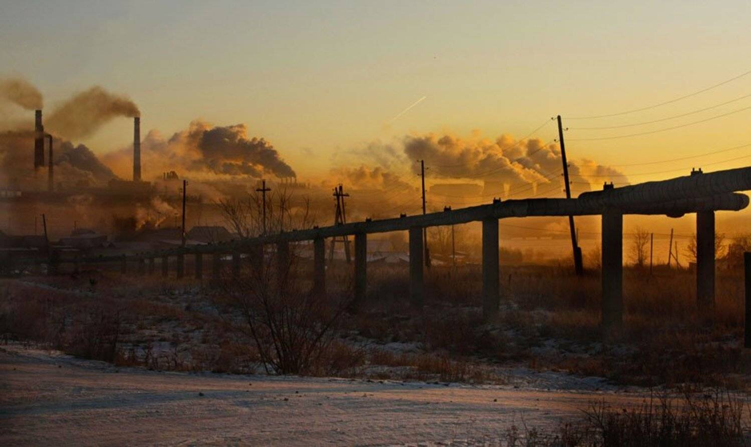 , Балашов Виталий
