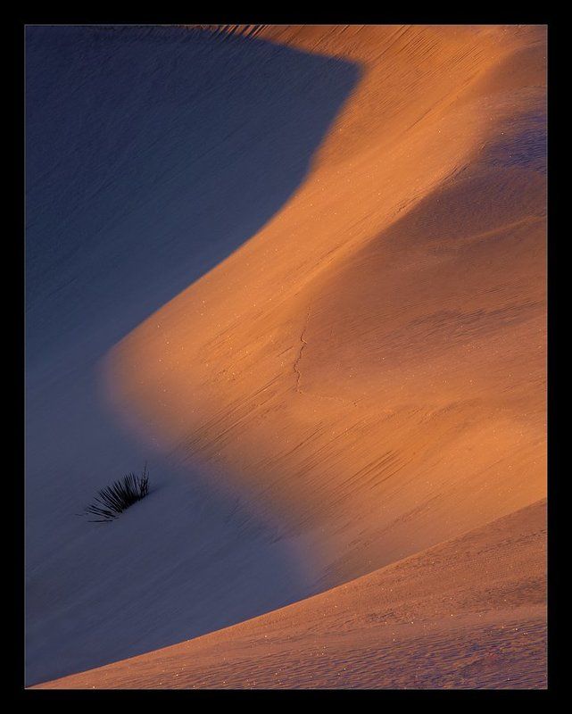 Night & Day фото превью