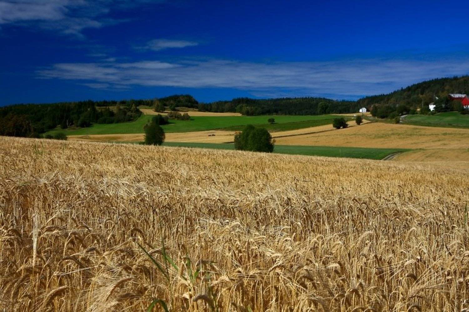 норвегия, IliaV