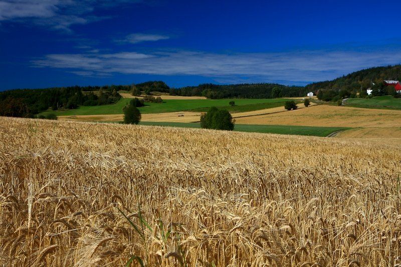 норвегия Хоть похоже на Россию, но это Норвегия фото превью