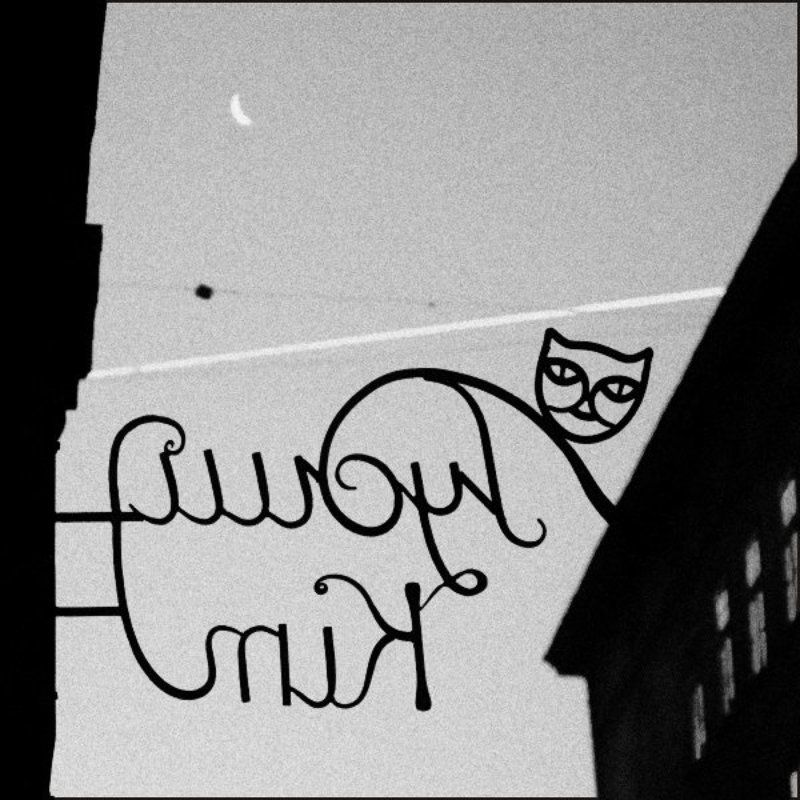 __рудий кіт__ фото превью