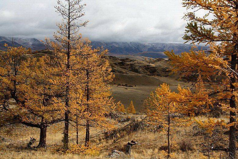 горы,алтай, Олег