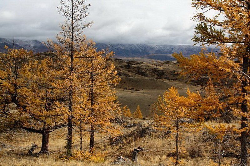 горы,алтай */ фото превью
