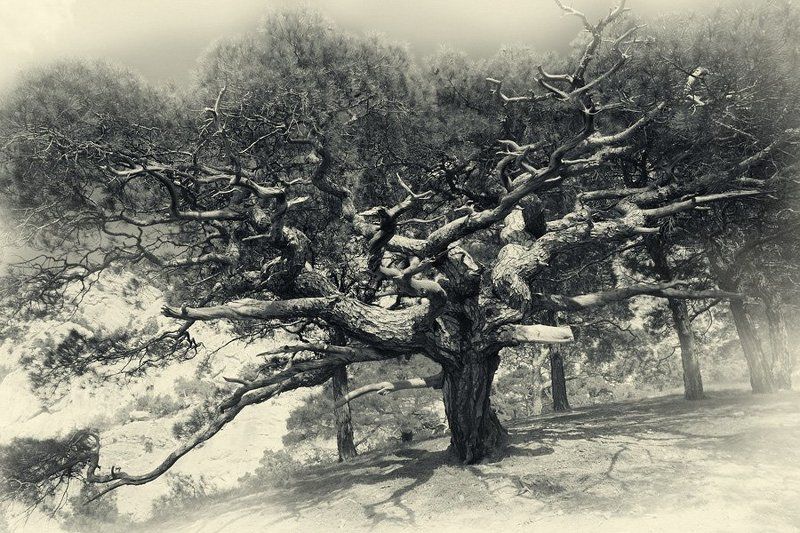 крым *** фото превью