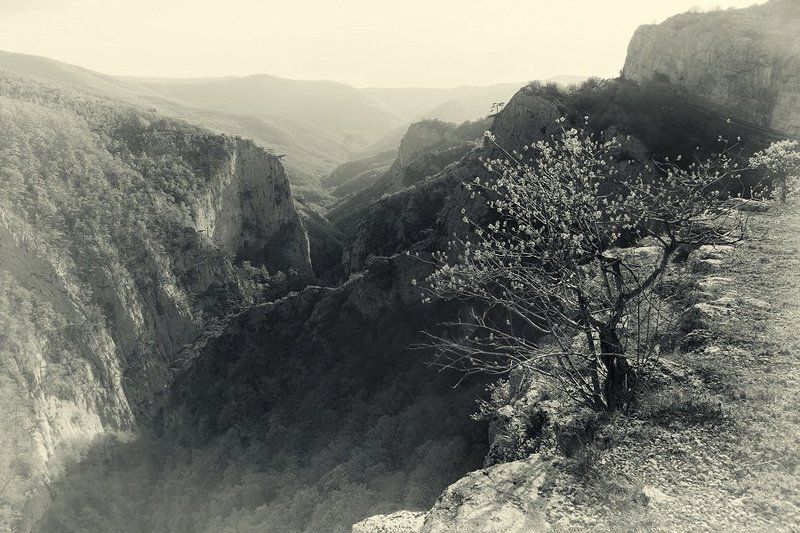 крым *** фото превью