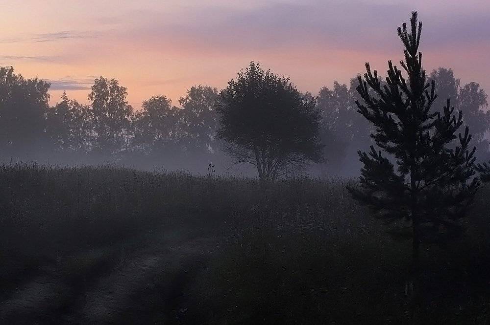 утро, лето, Василий Черкасский