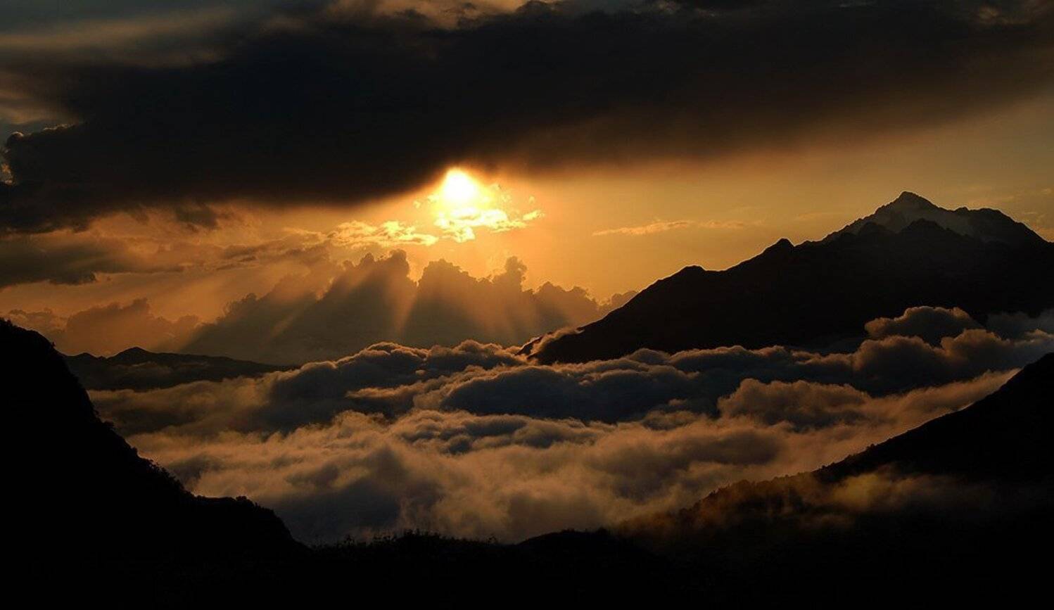 , Михаил Ступин