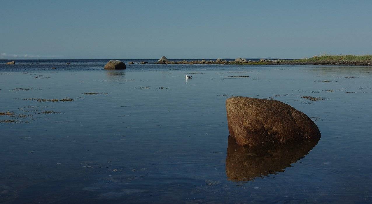 белое море, соловки, прошлое лето
