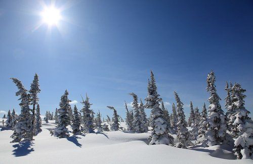 в лучах под солнцем снег лежит
