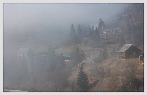 Туманное утро в Карпатах
