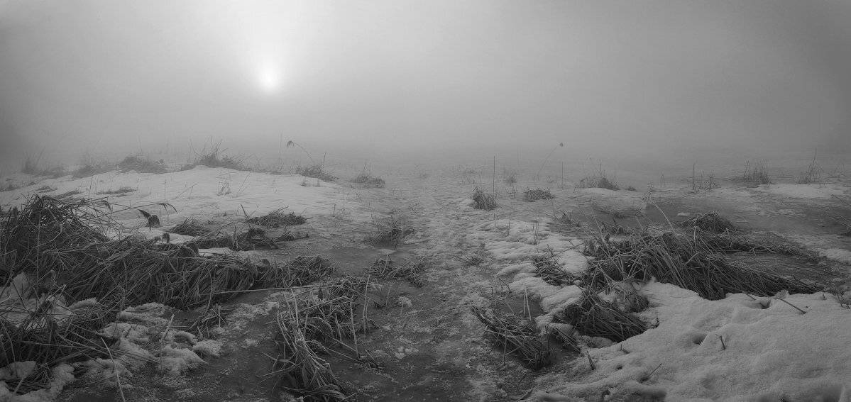 , Михаил Мочалов