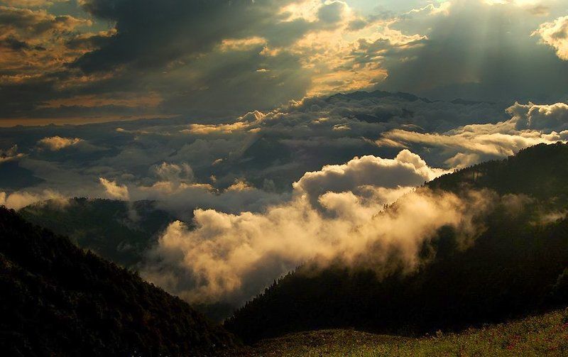 *** фото превью