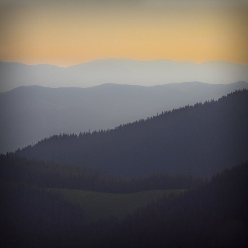 saddle фото превью