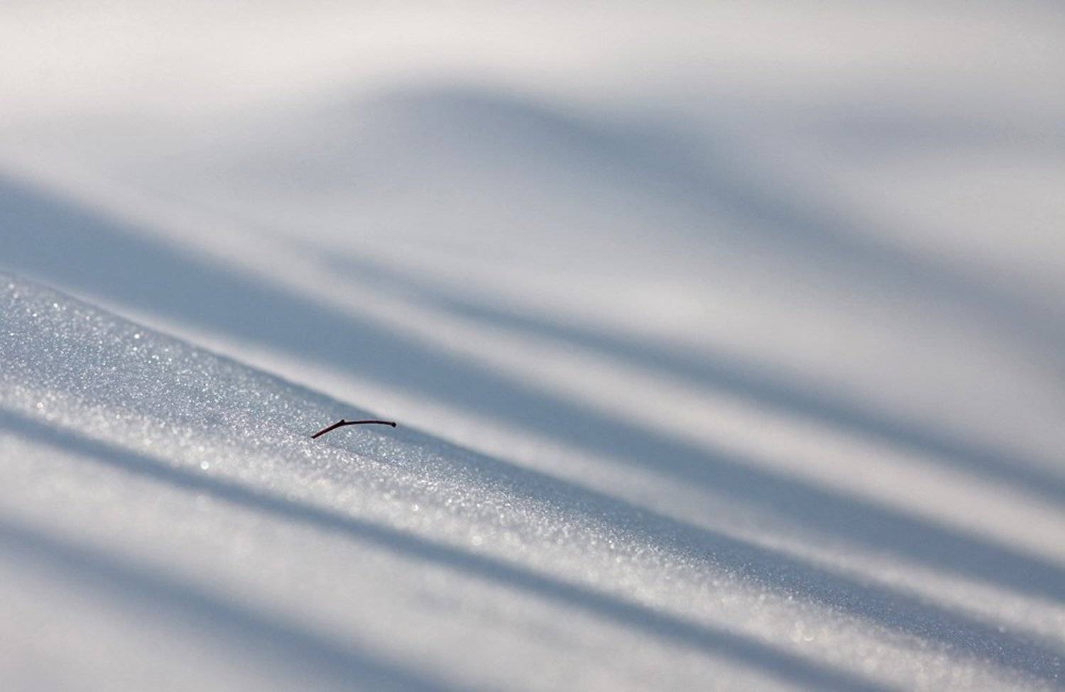 снег, полоски, Юлия