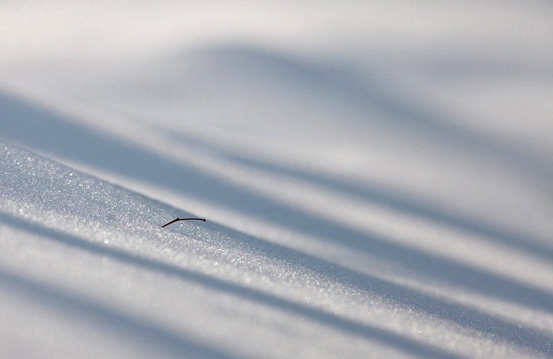 снег, полоски Снежные полоски.. фото превью