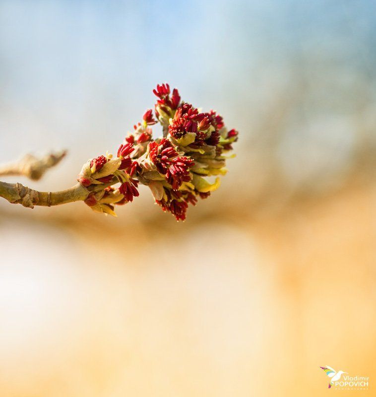 крым Наконец-то Весна!!! фото превью