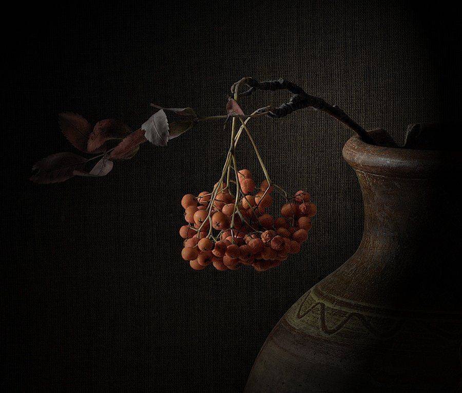 рябина, осень, фрагмент, Gennadiy Shin