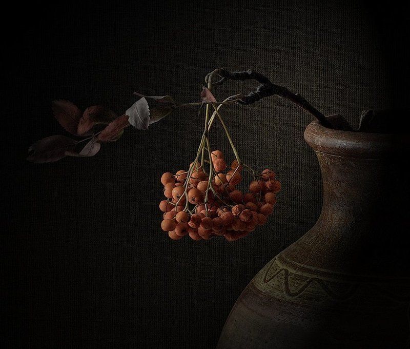 рябина, осень, фрагмент рябина фото превью