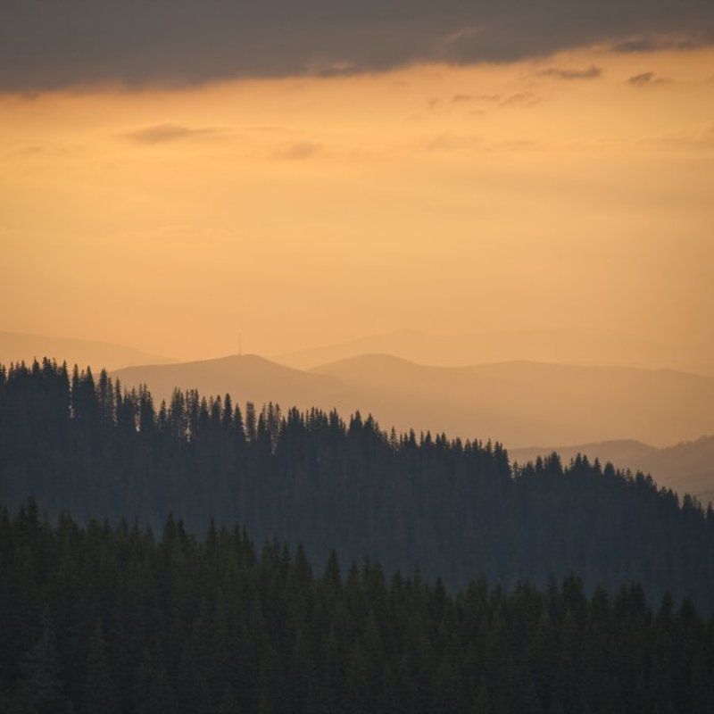 7 слоёв счастья фото превью