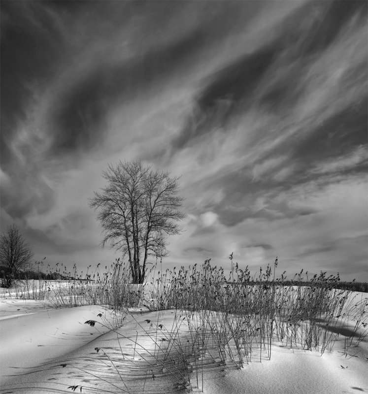 Пробуждение фото превью