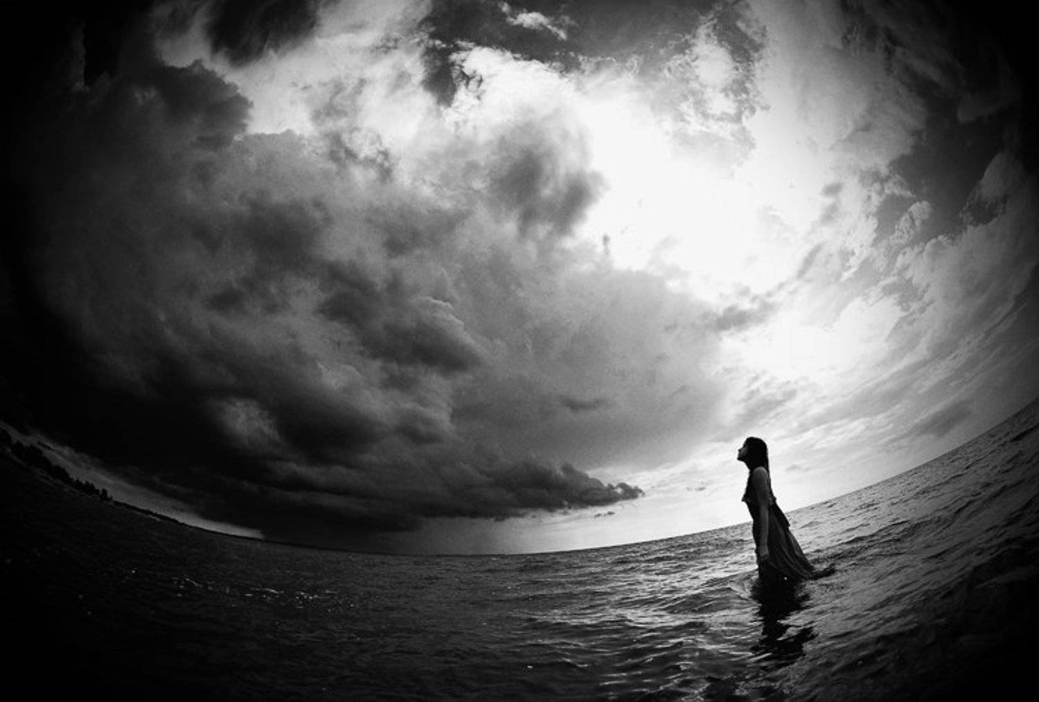 wwwest, Семенов Арсений