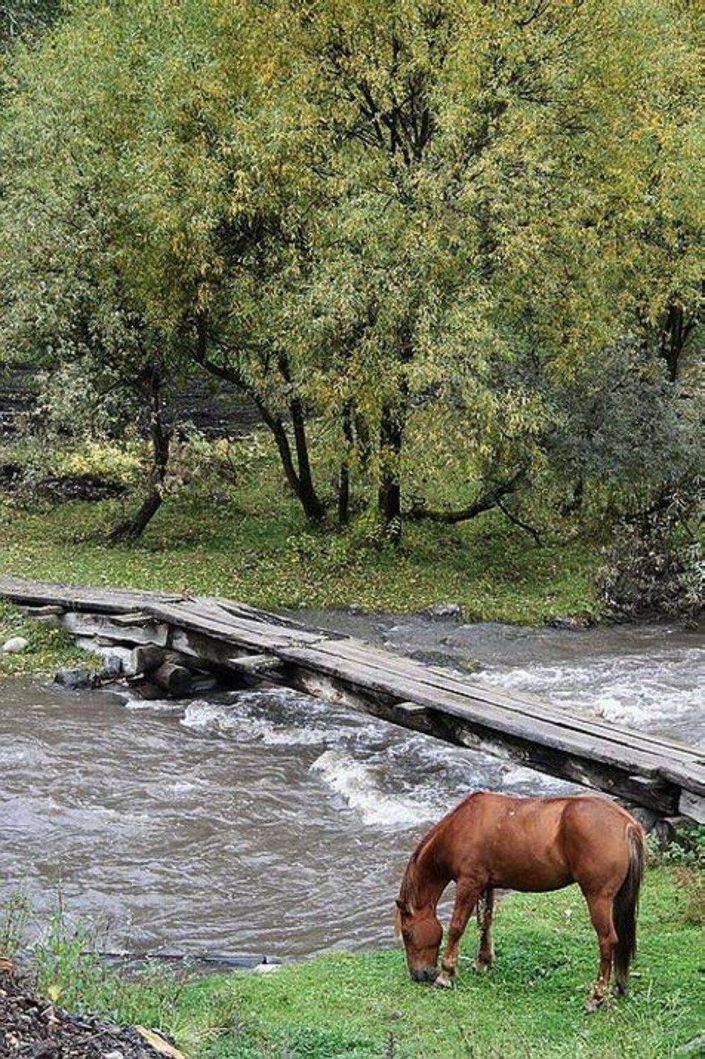 горный алтай,узнезя., Олег