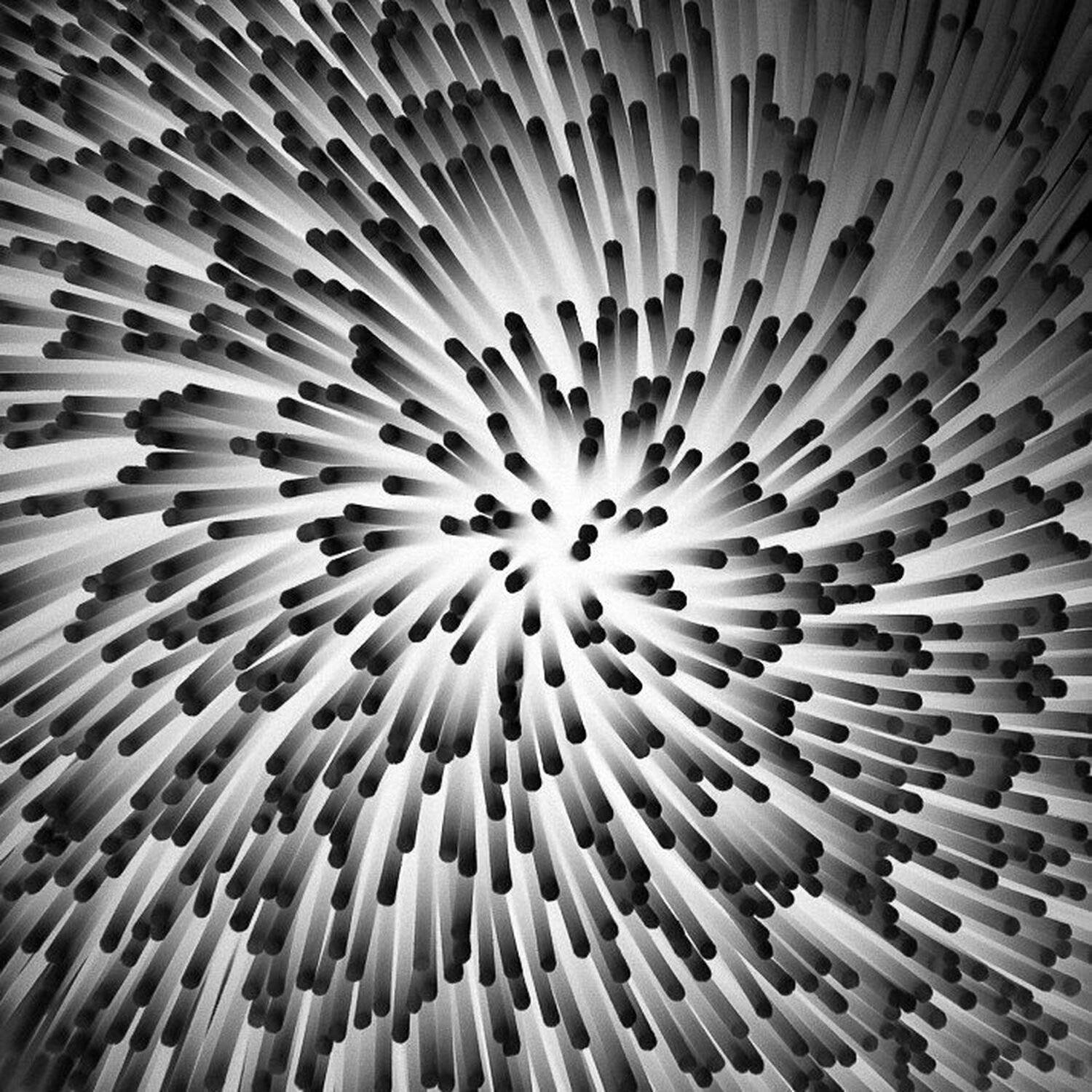 макароны, чб, Мария Пухова