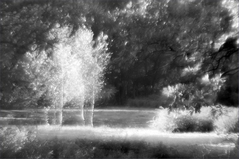 Три девчонки-хохотушки - Три берёзки на опушке.. фото превью